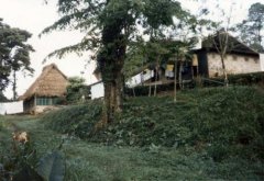 Original guest house and dining room with path to river. c. 1986.jpg